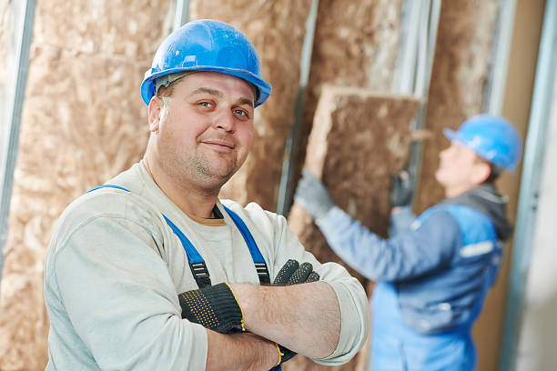 Best Insulation Removal Services  in Balfour, NC