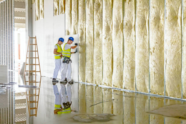 Best Fiberglass Insulation  in Balfour, NC